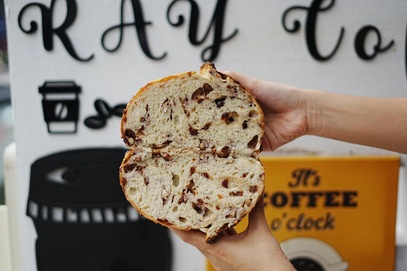 A raisin sourdough loaf pulled open by hand.